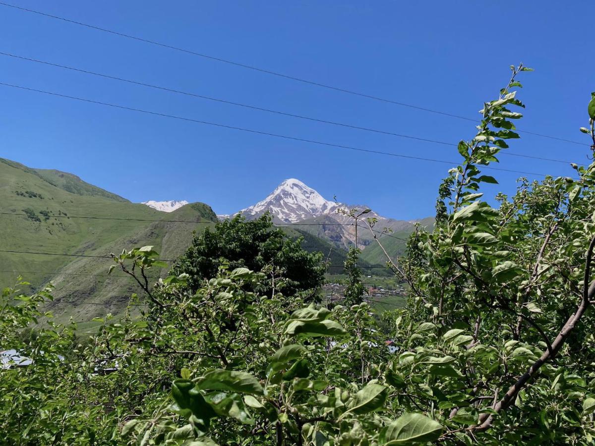 Geo Inn Kazbegi Εξωτερικό φωτογραφία