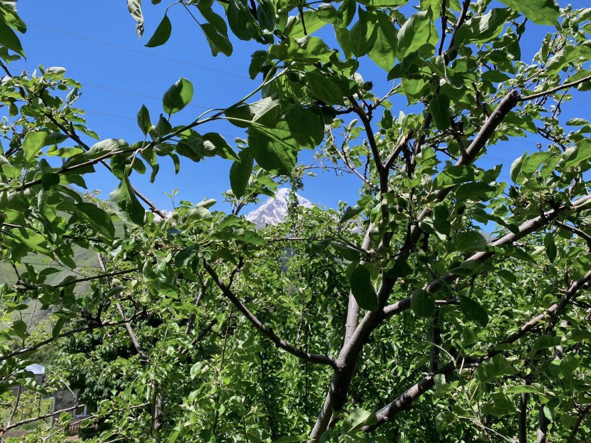 Geo Inn Kazbegi Εξωτερικό φωτογραφία
